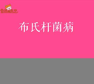 科普視頻:小心布氏桿菌病！